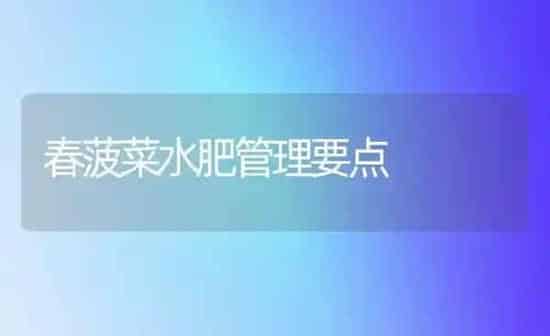 春菠菜水肥管理要点 | 蔬菜种植