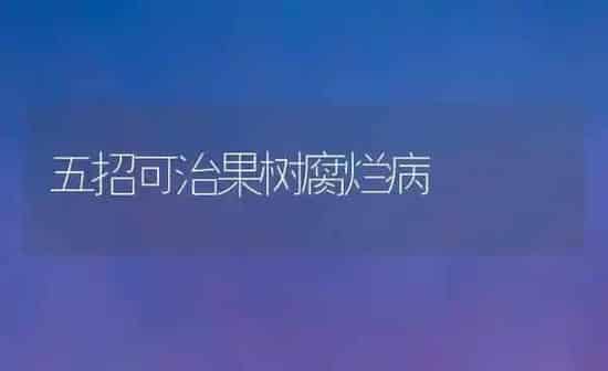 五招可治果树腐烂病 | 瓜果种植