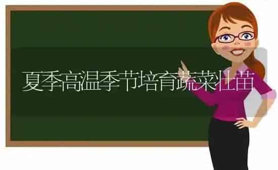 夏季高温季节培育蔬菜壮苗 | 蔬菜种植