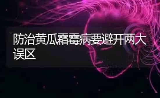 防治黄瓜霜霉病要避开两大误区 | 蔬菜种植
