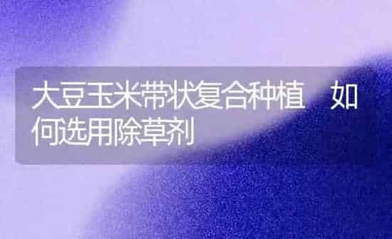 大豆玉米带状复合种植 如何选用除草剂 | 粮油作物种植