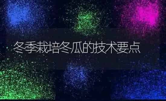 冬季栽培冬瓜的技术要点 | 蔬菜种植