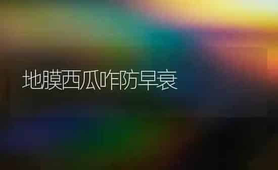 地膜西瓜咋防早衰 | 瓜果种植