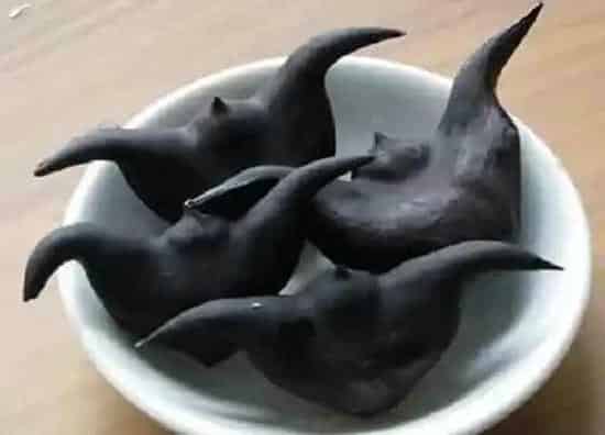 果实成熟|菱角什么时候上市 成熟收获时间