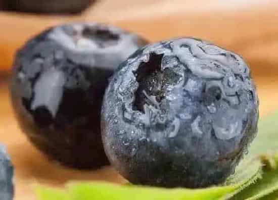 果实成熟|蓝莓几月份成熟上市