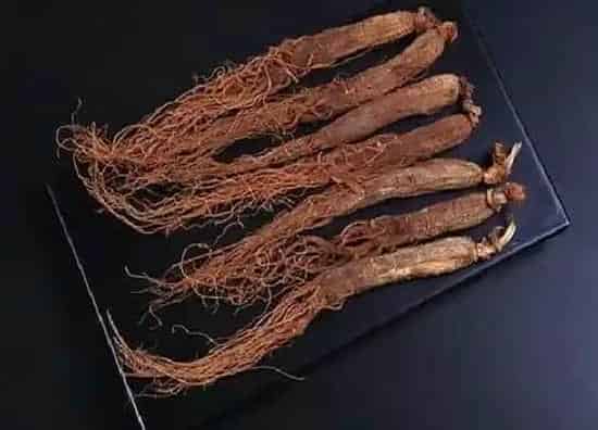 种植管理|人参种植技术与栽培管理 人参种子怎么种植几月份下种
