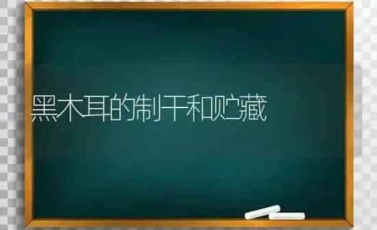 黑木耳的制干和贮藏 | 食用菌种植