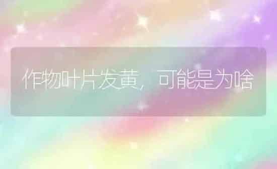 修剪管理并重防核桃树日灼 | 瓜果种植
