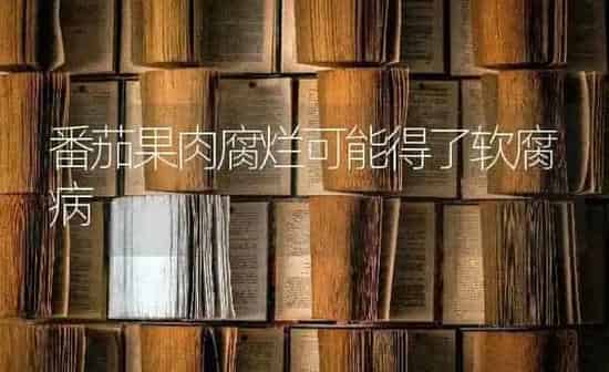 番茄果肉腐烂可能得了软腐病 | 瓜果种植