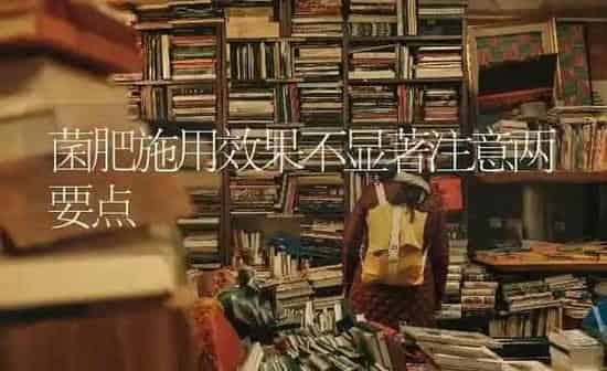 菌肥施用效果不显著注意两要点 | 瓜果种植