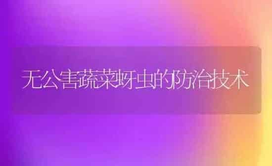 无公害蔬菜蚜虫的防治技术 | 蔬菜种植