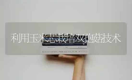 利用玉米芯栽培双孢菇技术 | 食用菌种植