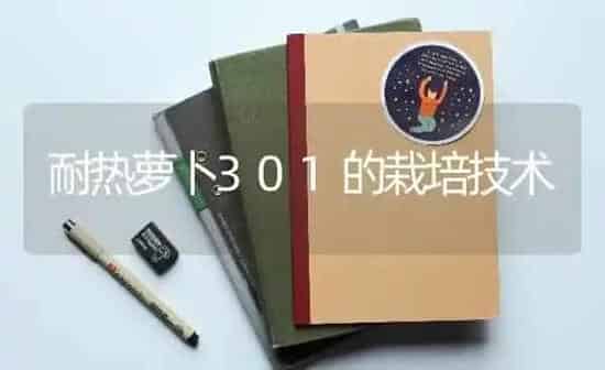 耐热萝卜301的栽培技术 | 蔬菜种植