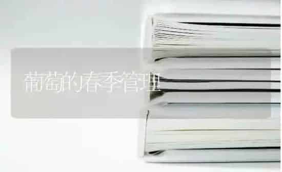 葡萄的春季管理 | 瓜果种植