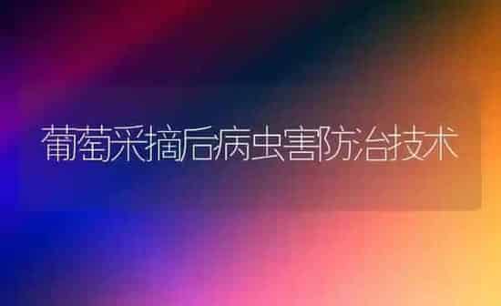 葡萄采摘后病虫害防治技术 | 种植病虫害防治