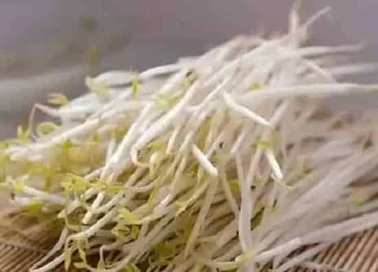 果实成熟|绿豆芽怎么看熟没熟