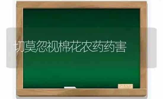 切莫忽视棉花农药药害 | 种植病虫害防治