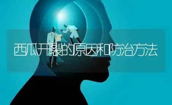 西瓜开裂的原因和防治方法 | 瓜果种植