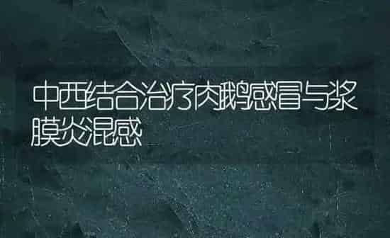 中西结合治疗肉鹅感冒与浆膜炎混感 | 瓜果种植