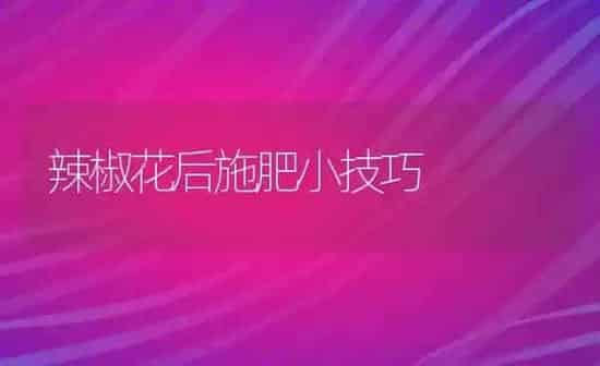 辣椒花后施肥小技巧 | 种植肥料施肥