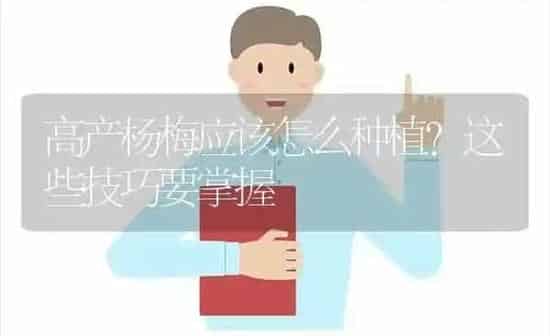 高产杨梅应该怎么种植？这些技巧要掌握 | 植物种植百科