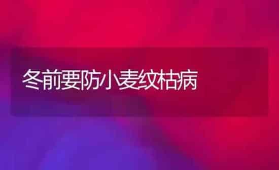 冬前要防小麦纹枯病 | 粮油作物种植