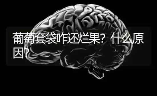 葡萄套袋咋还烂果？什么原因？ | 瓜果种植
