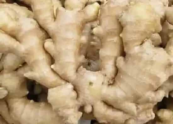 果实成熟|鲜姜什么时候上市 在几月份成熟