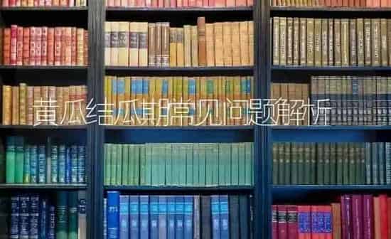黄瓜结瓜期常见问题解析 | 蔬菜种植