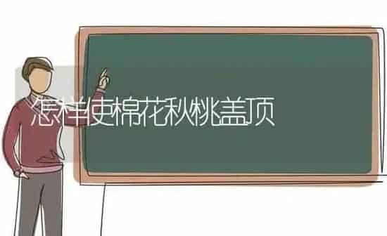怎样使棉花秋桃盖顶 | 粮油作物种植