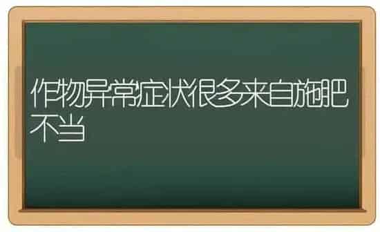 作物异常症状很多来自施肥不当 | 种植肥料施肥