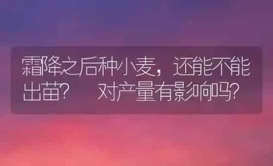霜降之后种小麦,还能不能出苗? 对产量有影响吗? | 粮油作物种植