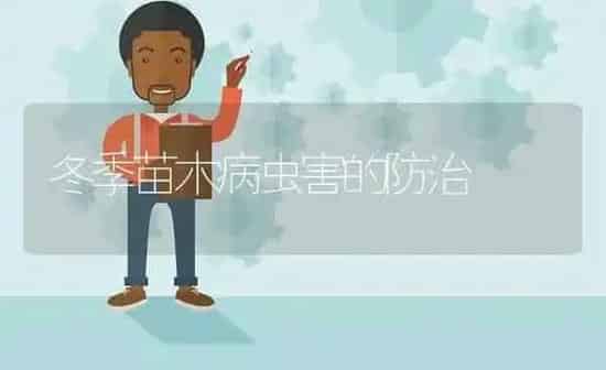 冬季苗木病虫害的防治 | 种植病虫害防治