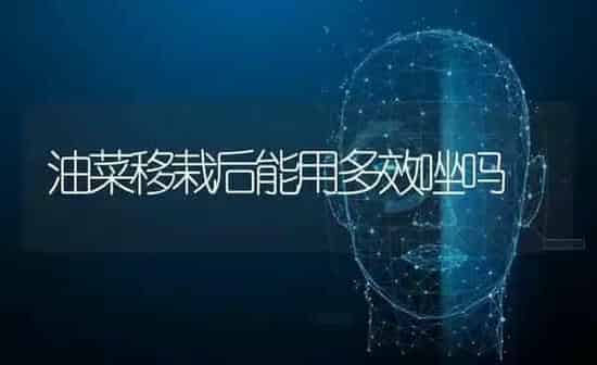 油菜移栽后能用多效唑吗 | 粮油作物种植
