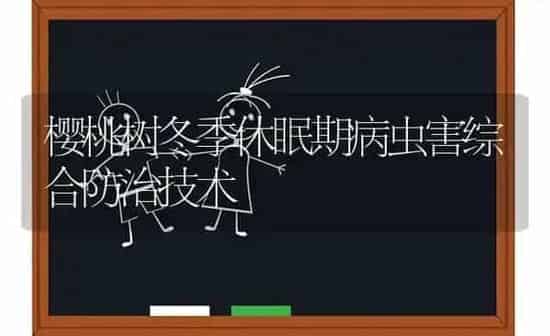 樱桃树冬季休眠期病虫害综合防治技术 | 种植病虫害防治