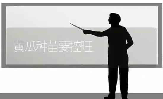 黄瓜种苗要控旺 | 蔬菜种植