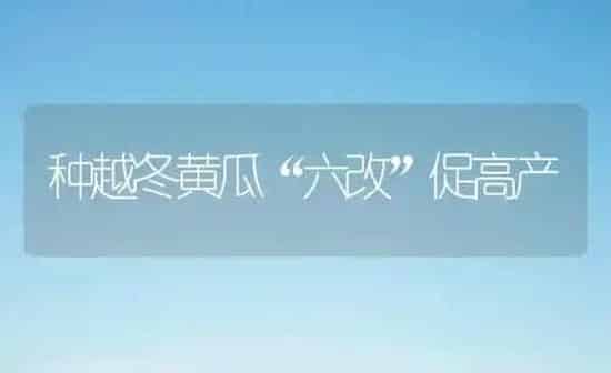 种越冬黄瓜“六改”促高产 | 蔬菜种植