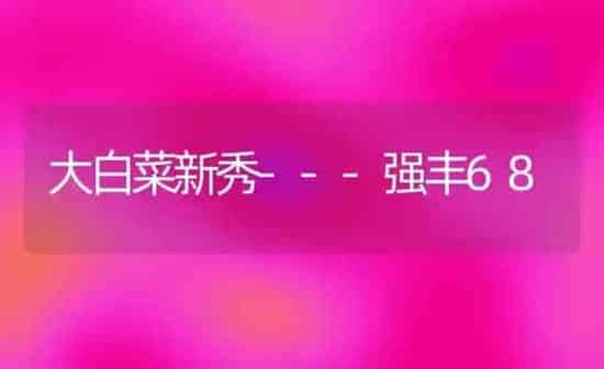 大白菜新秀---强丰68 | 蔬菜种植