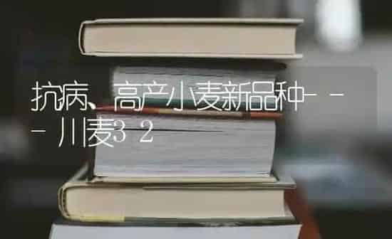 抗病、高产小麦新品种---川麦32 | 粮油作物种植