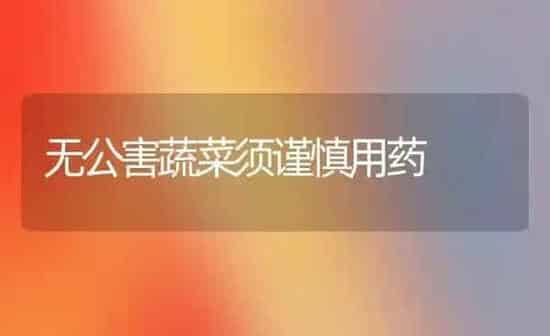 无公害蔬菜须谨慎用药 | 蔬菜种植