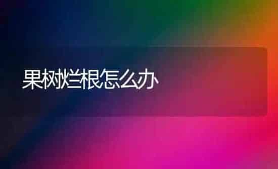 果树烂根怎么办 | 瓜果种植