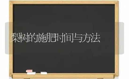 梨树的施肥时间与方法 | 种植肥料施肥