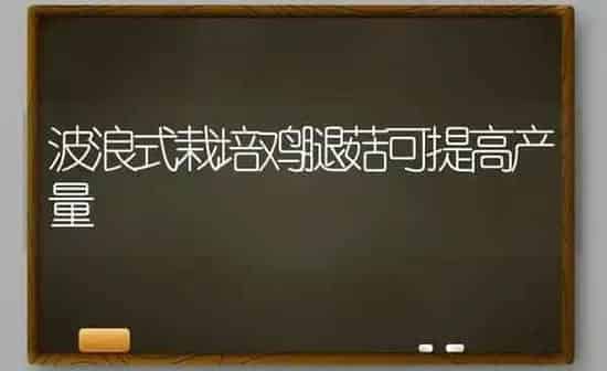 波浪式栽培鸡腿菇可提高产量 | 食用菌种植
