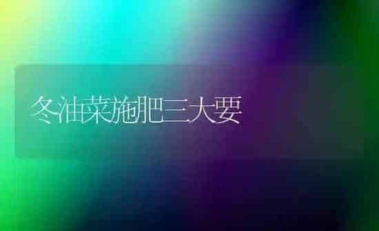 冬油菜施肥三大要 | 粮油作物种植