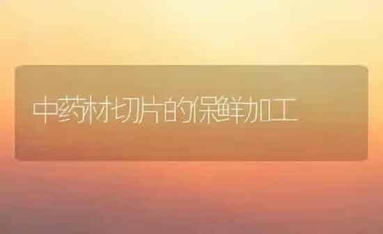 中药材切片的保鲜加工 | 药材种植