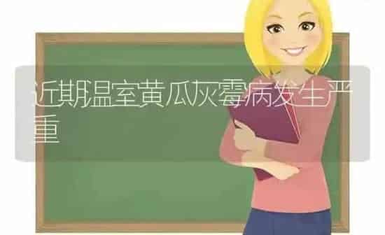 近期温室黄瓜灰霉病发生严重 | 蔬菜种植