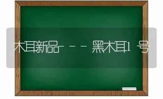 木耳新品---黑木耳1号 | 食用菌种植