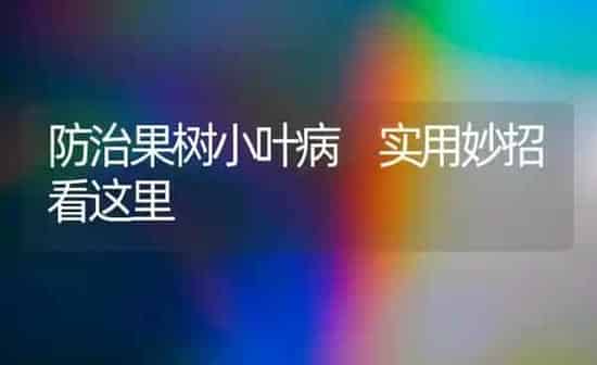 防治果树小叶病 实用妙招看这里 | 瓜果种植