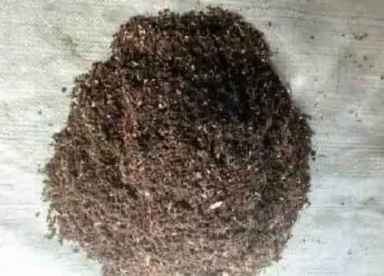 种植土壤|草木灰可以直接拌土养花吗 适合养什么花卉植物