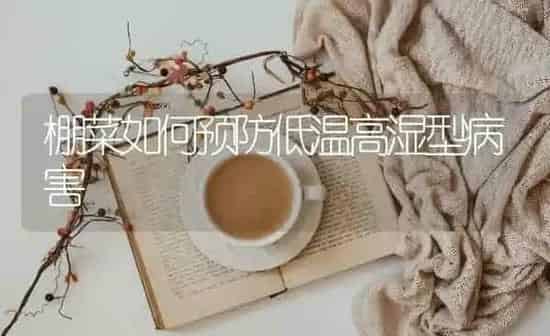 棚菜如何预防低温高湿型病害 | 蔬菜种植